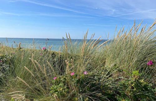 Klangwald Sylt HOUSE | Apartment *Anker* - Foto 31