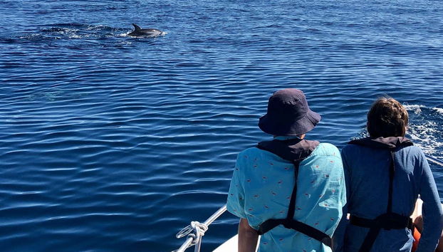 Admirando la fauna marina