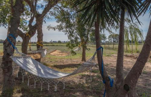 Mas Mare de la Font: La Forja / 1094 - Foto 8