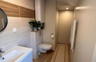 Appartement F1 duplex Hyper centre - Foto 4