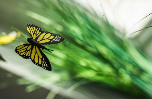 Violet Red Yellow Apartments - Foto 34