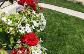 La casa dei nonni - Foto 11