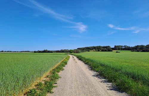 Can Marisch La Casa Pairal - Foto 46