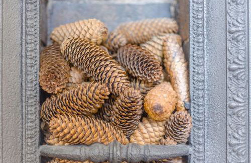 Robin's Nest - Foto 25