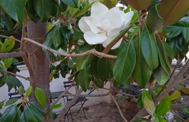 Pontinos Villa - Photo 31