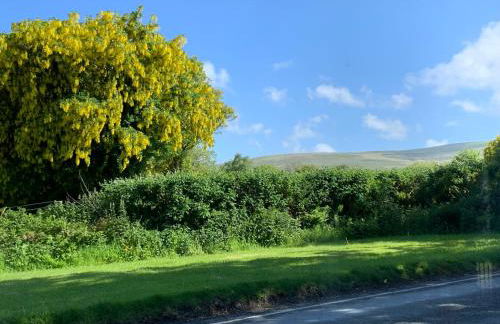 Newfoundland Cottage - Photo 11