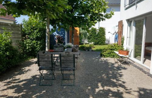 Grasshoppers - Foto 5