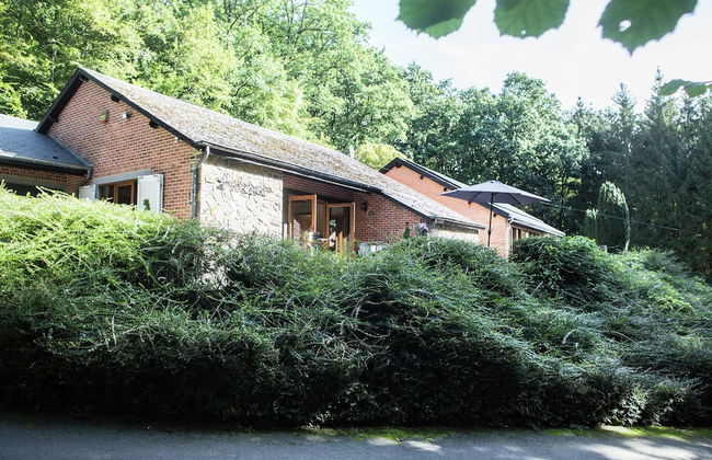 Durbuy Forest Villa With Pool - Foto 1