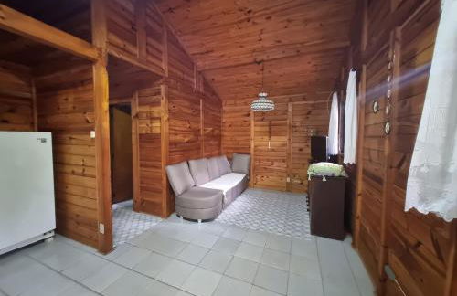 Sítio com Casa de Madeira com 2 quartos 100m2 px Centro de Salesópolis - Foto 57