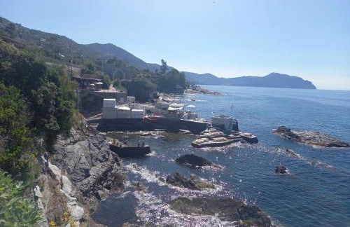 Casa mia a Nervi - Foto 40
