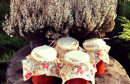 Farmstay Marianówka u Tesi - Foto 10