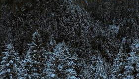 BLACK DOLOMYTE Apartment - Foto 3