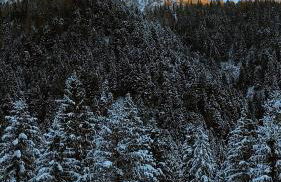 BLACK DOLOMYTE Apartment - Foto 3