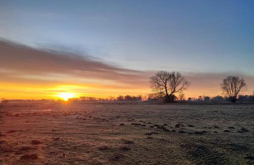 Ferienwohnung Meta Fischerhude - Foto 21