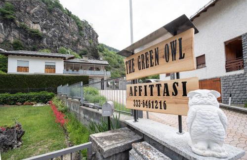 The Green Owl - Foto 30