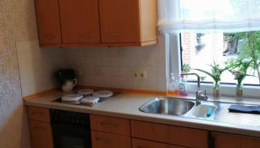 Am Waldrand - Foto 5