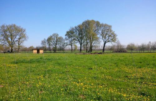 Ferienhof Idyll am kleinen Fließ - Foto 43