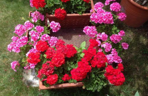 Casa Vacanze All'Orizzonte Duino - Foto 30