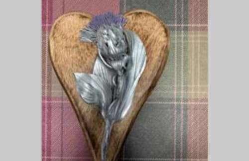 Creag Mhor Self Catering Holiday Apartment - Foto 12