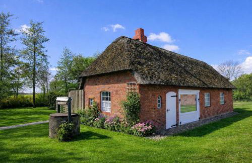 Ferienhof Schnurrum - Foto 72