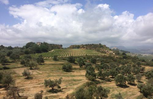 Agriturismo biologico 'A Lanterna - Foto 66