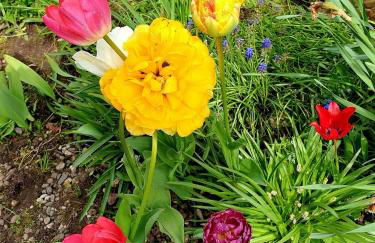 Schloss Hilbringen - Foto 42