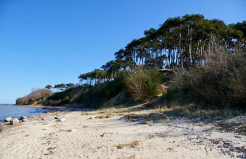 Tallskog - Dein Apartment am Naturstrand Hohen Wieschendorf - Foto 12