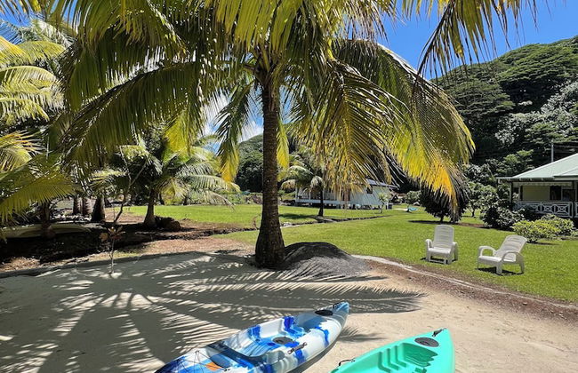 Fare Mama Rota - Photo 39