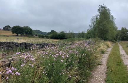 Dogs stay free, country walks from door, EV station, fenced garden, near gastro pub - Foto 28