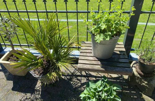 Ferienwohnung an der Berkelquelle - Foto 24