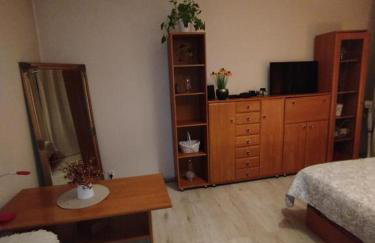 Apartament Manhattan Czechowice Dziedzice - Photo 15
