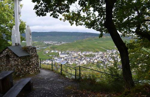 Ferienwohnungen Felten in Minheim - Foto 33