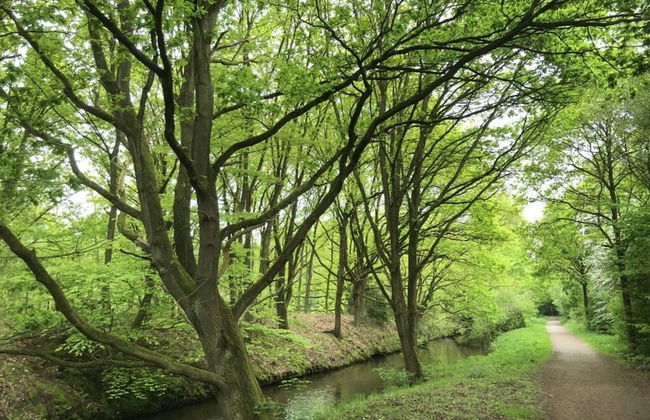 Holiday Apartment \"dilborner Benden\" - Foto 16