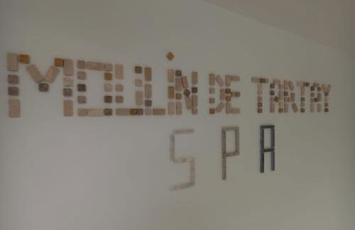 Moulin de Tartay en Avignon - Foto 62