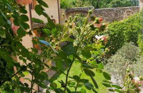 La Casa di LucaPietro Dimora Storica - Foto 15