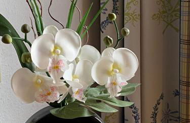 Appartement-Hotel Happy Kienberg - Foto 47