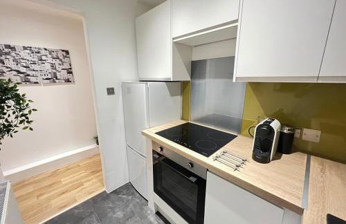 Stunning refurbished main door Marchmont apartment - Foto 10