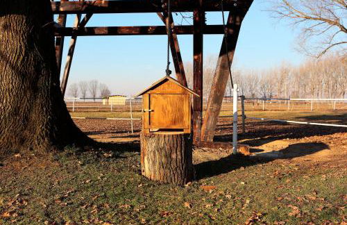 Agriturismo Relais Tenuta il Cigno - Foto 73