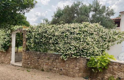 Villa charmante à Villecroze avec piscine privée - Foto 37