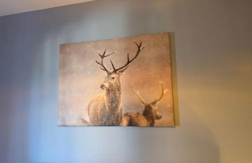 Linnhe View Fort William - Foto 36