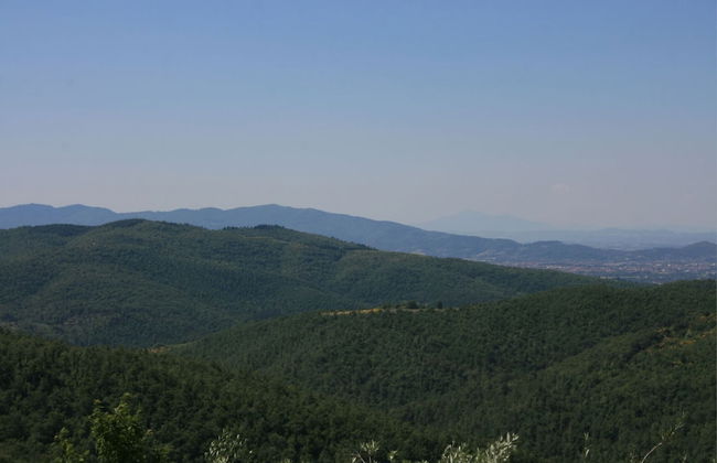 La Casina del Bosco - Foto 19