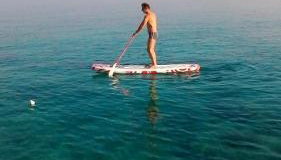 Apartmani Surjan - Foto 3