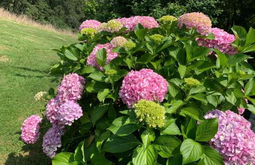 Gîte La Louisiane - Foto 8