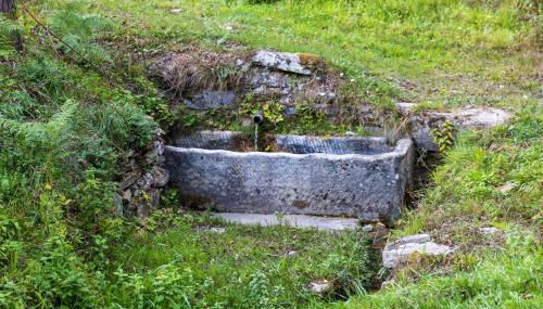 SO MAGIC - La casa nel bosco - Foto 4