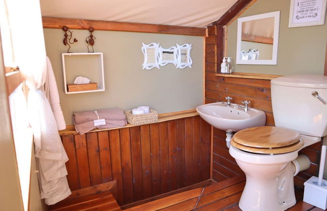 Teniqua Treetops - Foto 50