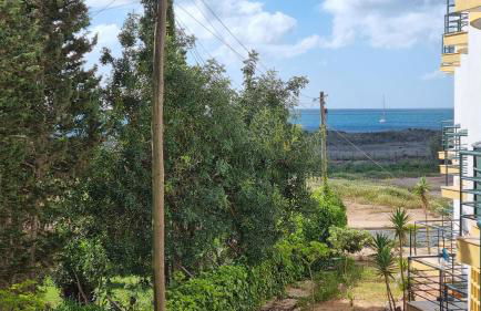 Meia Praia - Foto 29