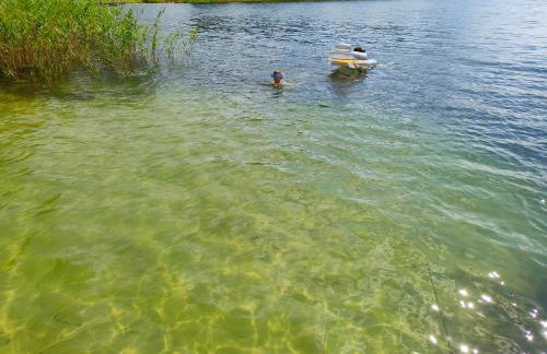 Kasztanowe Wrota - Foto 64