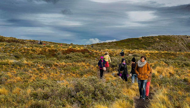 Paseo en yate por el Canal Beagle + Trekking por isla Bridges - Foto 4