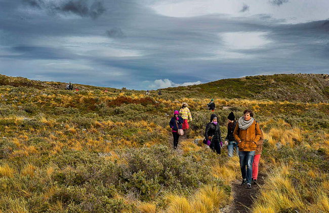 Paseo en yate por el Canal Beagle + Trekking por isla Bridges - Foto 7