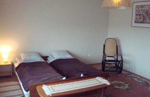 W Starym Sadzie - Foto 25